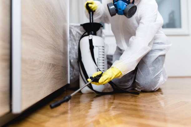 Best Affordable Pest Control Services  in Indian Mountain Lake, PA