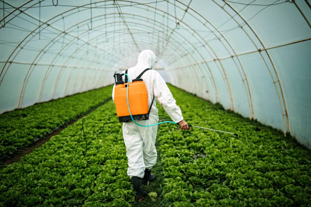 Professional Pest Control in Indian Mountain Lake, PA